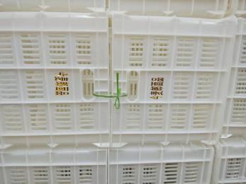 今麥郎、丹尼斯塑料筐